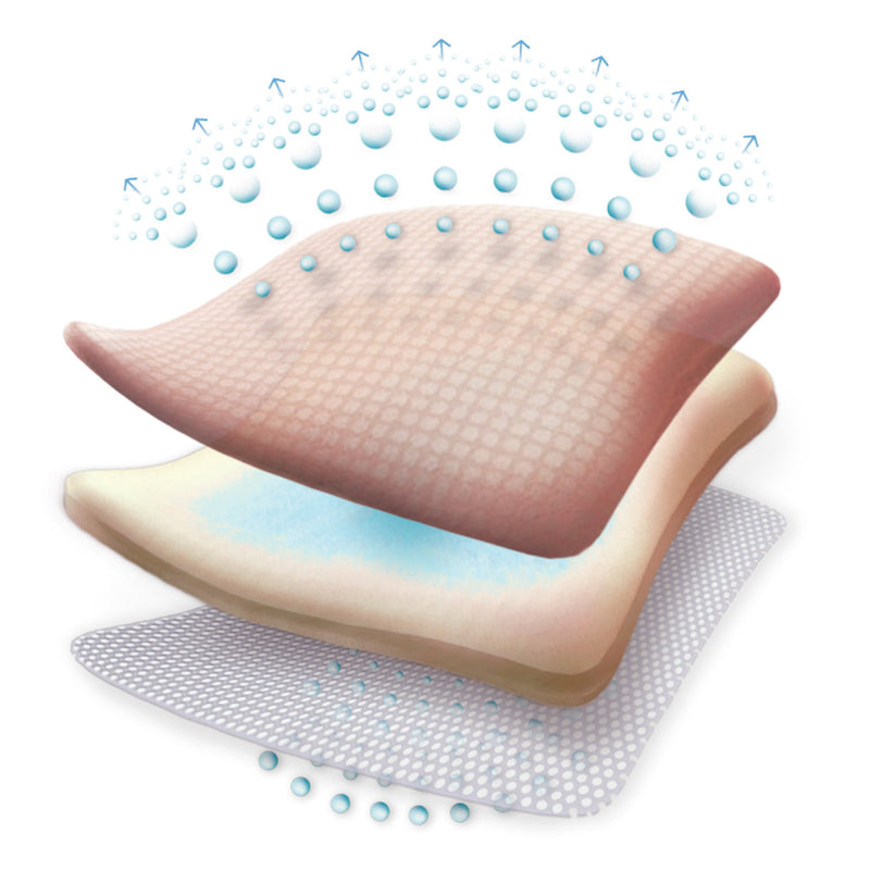 Allevyn Gentle Border Foam Dressing 4 X 4 Inch With Border Film Backing Silicone Gel Adhesive Square Sterile (834360_EA) 1/EA