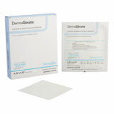 DermaGinate® Alginate Dressing 4-1/4 X 4-1/4 Inch Square (584149_BX) 10/BX