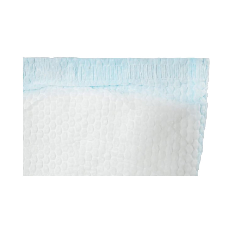 TotalDry™ Bladder Control Pad 4 X 13 Inch Moderate Absorbency Polymer Core Medium (1158085_CS) 180/CS
