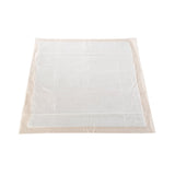 McKesson Ultra Disposable Underpad 30 X 30 Inch Fluff / Polymer Heavy Absorbency (730984_BG) 10/BG