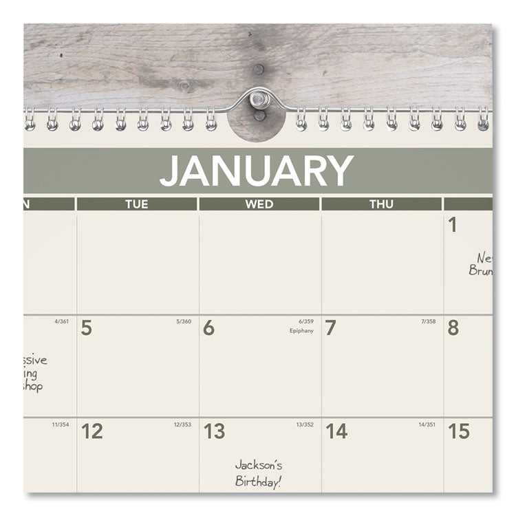 AT-A-GLANCE® Recycled Wall Calendar, Unruled Blocks, 15 x 12, Sand/Green Sheets, 12-Month (Jan to Dec): 2024 (AAGPMG7728)