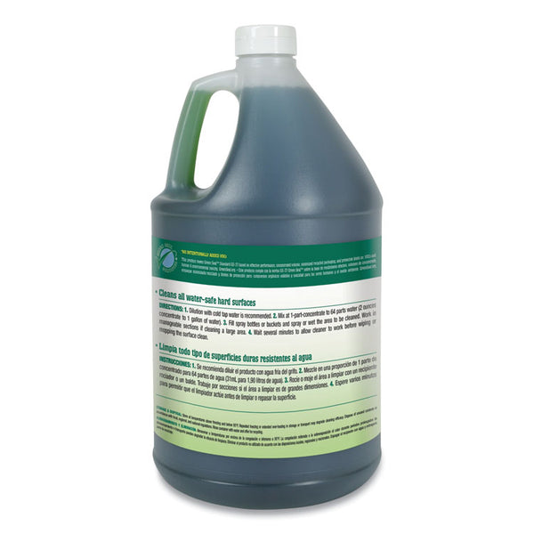 Simple Green® Clean Building All-Purpose Cleaner Concentrate, 1 gal Bottle (SMP11001)