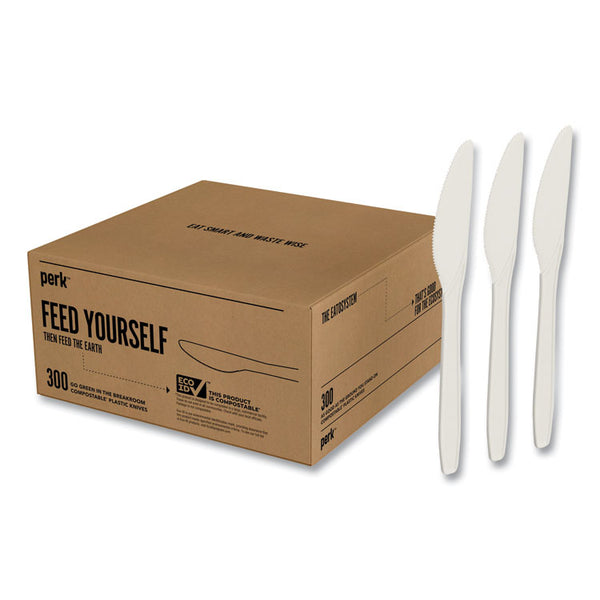 Perk™ Mediumweight Plastic Cutlery, Knife, White, 300/Pack (PRK24390991)