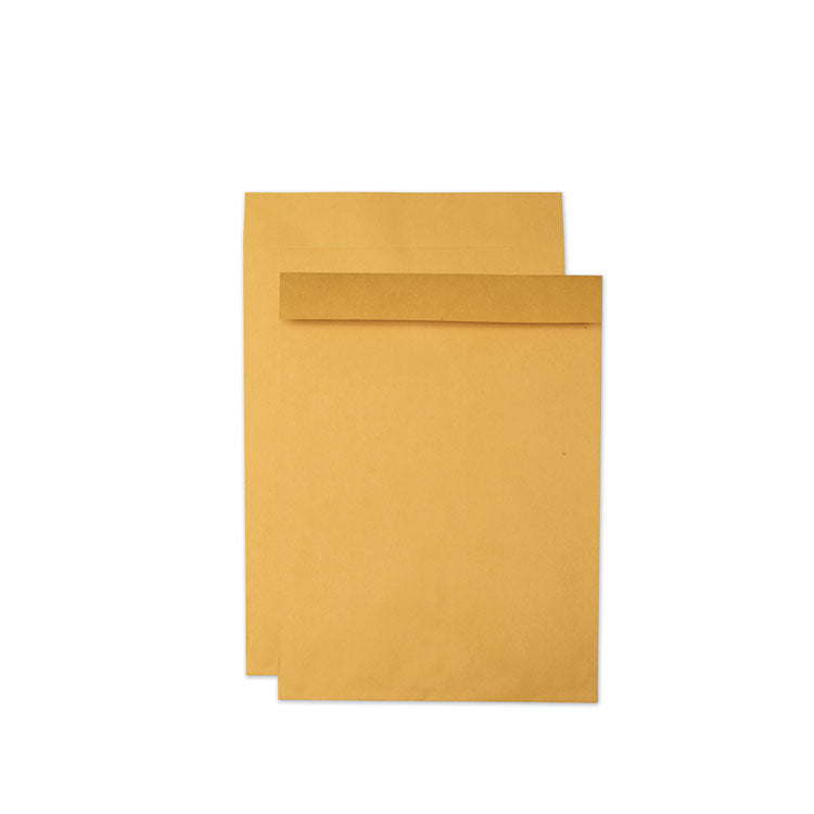Quality Park™ Jumbo Size Kraft Envelope, Cheese Blade Flap, Fold-Over Closure, 17 x 22, Brown Kraft, 25/Pack (QUA42356) Box of 25
