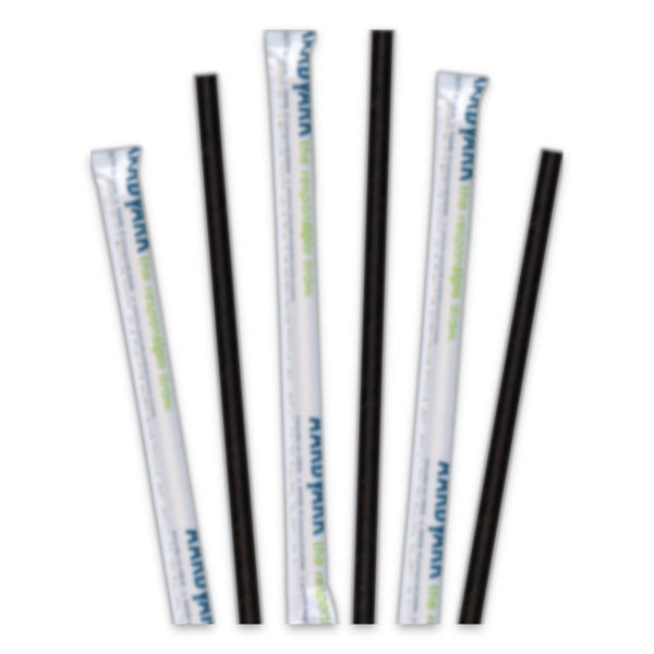 Hoffmaster® Aardvark Paper Straws, 5.75", Black, 3,200/Carton (HFM61612099)