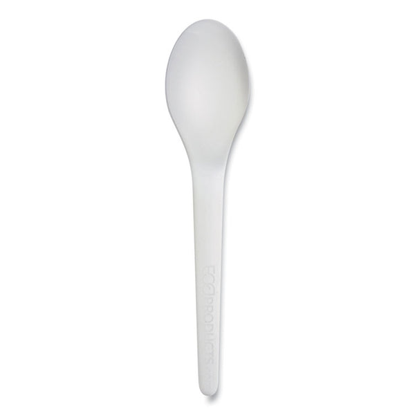 Eco-Products® Plantware Compostable Cutlery, Spoon, 6", White, 1,000/Carton (ECOEPS013W)