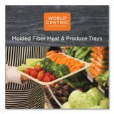 World Centric® Fiber Trays, PLA Lined, PFAS Free, 1-Compartment, 9.1 x 7.1 x 0.7, Natural, Paper, 500/Carton (WORTRSC4SLLF) Case of 500