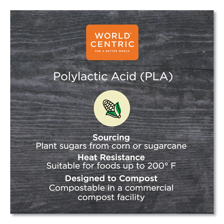 World Centric® PLA Lids for Fiber Containers, 8.8 x 6.9 x 0.8, Clear, Plastic, 400/Carton (WORCTLCS3) Case of 400