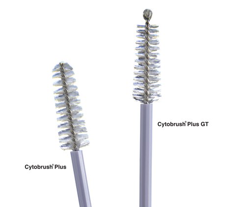Cytobrush® Plus Cytology Brush 196 mm Length NonSterile (176291_BX) 100/BX