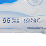 TENA ProSkin™ Classic Personal Cleansing Wipe Soft Pack Scented 96 Count (1000920_BG) 96/BG