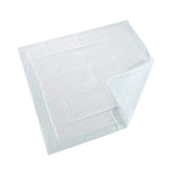 McKesson Super Disposable Underpad 30 X 30 Inch Fluff / Polymer Moderate Absorbency (724049_BG) 10/BG