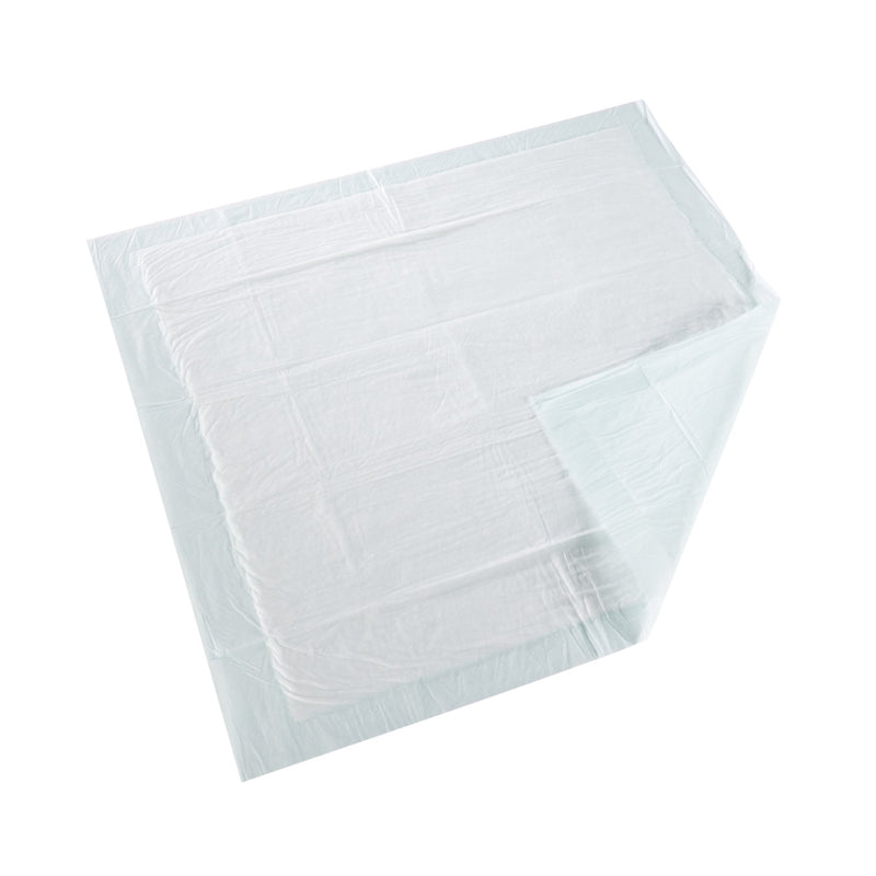 McKesson Super Disposable Underpad 30 X 30 Inch Fluff / Polymer Moderate Absorbency (724049_BG) 10/BG