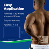 Salonpas® Hot Topical Pain Relief Capsaicin Patch 3 per Box (1157126_CT) 3/CT