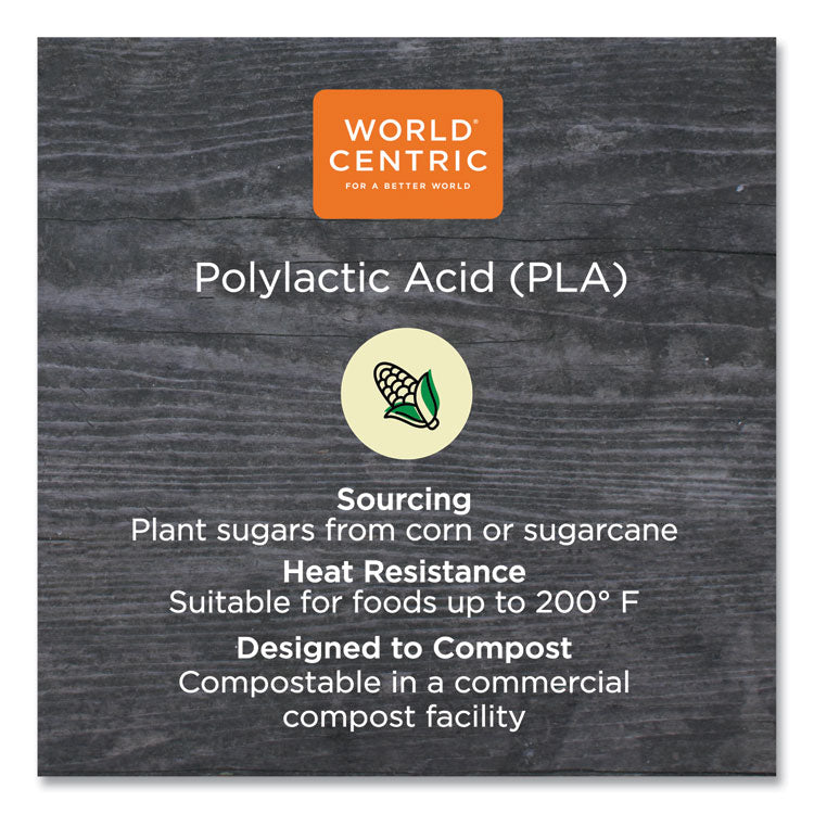 World Centric® PLA Rectangular Deli Containers, 16 oz, 4.8 x 5.9 x 2.8, Clear, Plastic, 900/Carton (WORRDCS16) Case of 900