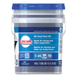 Cascade Professional™ All-Temp Rinse Aid, Unscented, 5 gal (PPL71191) Each