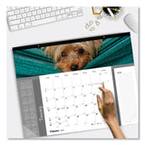 Blueline® Pets Collection Monthly Desk Pad, Puppies Photography, 22 x 17, Black Binding, Clear Corners, 12-Month (Jan to Dec): 2024 (REDC194116)