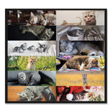 Blueline® Pets Collection Monthly Desk Pad, Furry Kittens Photography, 22 x 17, White Sheets, Black Binding, 12-Month (Jan-Dec): 2024 (REDC194115)