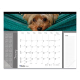 Blueline® Pets Collection Monthly Desk Pad, Puppies Photography, 22 x 17, Black Binding, Clear Corners, 12-Month (Jan to Dec): 2024 (REDC194116)