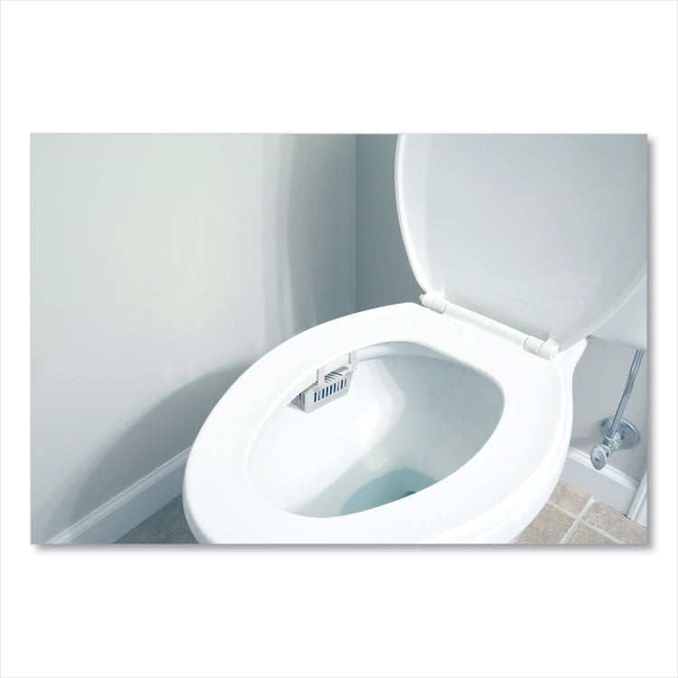 Big D Industries Non-Para Toilet Bowl Block, Lasts 30 Days, Evergreen Scent, White, 12/Box (BGD661)