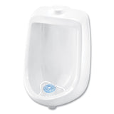 Big D Industries Extra Duty Urinal Screen with Non-Para Block, Evergreen with Enzymes Scent, White, Dozen (BGD660)