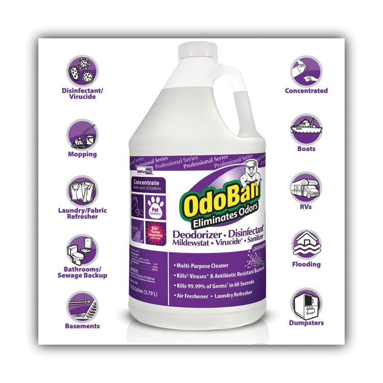 OdoBan® Concentrate Odor Eliminator and Disinfectant, Lavender Scent, 1 gal Bottle, 4/Carton (ODO911162G4CT) Case of 4