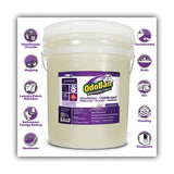 OdoBan® Concentrated Odor Eliminator and Disinfectant, Lavender Scent, 5 gal Pail (ODO9111625G) Each