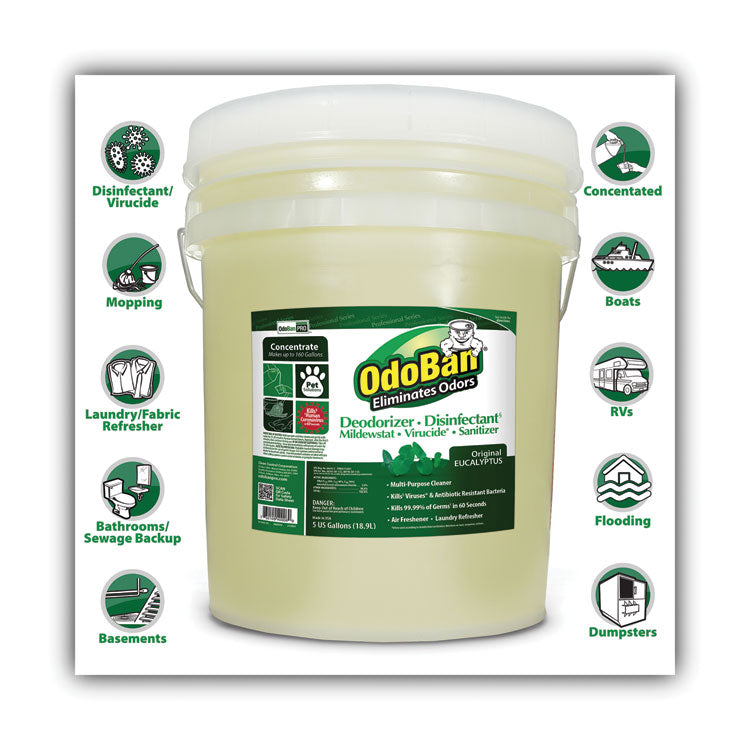 OdoBan® Concentrated Odor Eliminator and Disinfectant, Eucalyptus, 5 gal Pail (ODO9110625G) Each