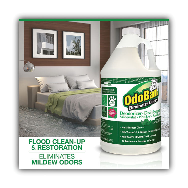 OdoBan® Concentrated Odor Eliminator, Eucalyptus, 1 gal Bottle, 4/Carton (ODO911062G4) Case of 4