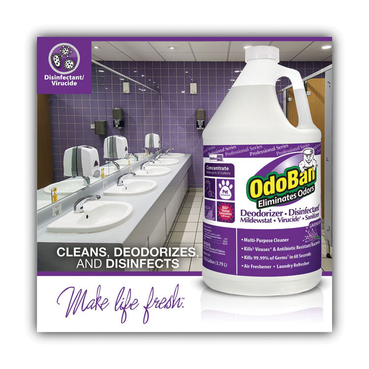 OdoBan® Concentrate Odor Eliminator and Disinfectant, Lavender Scent, 1 gal Bottle, 4/Carton (ODO911162G4CT) Case of 4