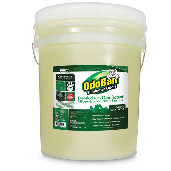 OdoBan® Concentrated Odor Eliminator and Disinfectant, Eucalyptus, 5 gal Pail (ODO9110625G) Each