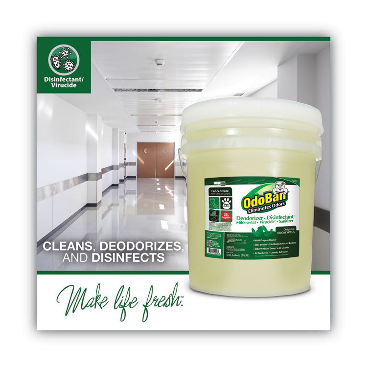 OdoBan® Concentrated Odor Eliminator and Disinfectant, Eucalyptus, 5 gal Pail (ODO9110625G) Each