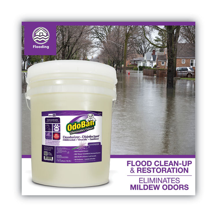 OdoBan® Concentrated Odor Eliminator and Disinfectant, Lavender Scent, 5 gal Pail (ODO9111625G) Each