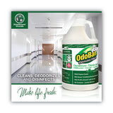 OdoBan® Concentrated Odor Eliminator, Eucalyptus, 1 gal Bottle, 4/Carton (ODO911062G4) Case of 4