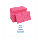 Boardwalk® Small Cellulose Sponge, 3.6 x 6.5, 0.9" Thick, Pink, 2/Pack, 24 Packs/Carton (BWKCS1A) Case of 48