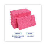 Boardwalk® Small Cellulose Sponge, 3.6 x 6.5, 0.9" Thick, Pink, 2/Pack, 24 Packs/Carton (BWKCS1A) Case of 48