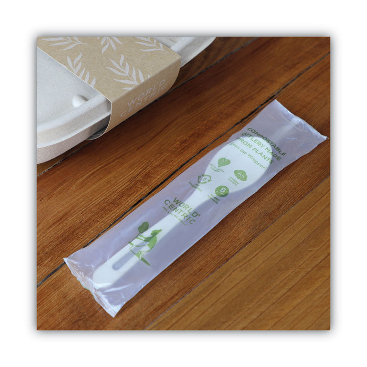 World Centric® TPLA Compostable Cutlery, Spoon, 6", White, 750/Carton (WORSPPSI)