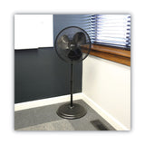 Alera® 16" 3-Speed Oscillating Pedestal Stand Fan, Metal, Plastic, Black (ALEFANP16B)