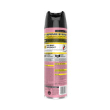 Raid Fragrance Free Ant and Roach Killer, 17.5 oz Aerosol Spray, 12/Carton (SJN369857) Case of 12