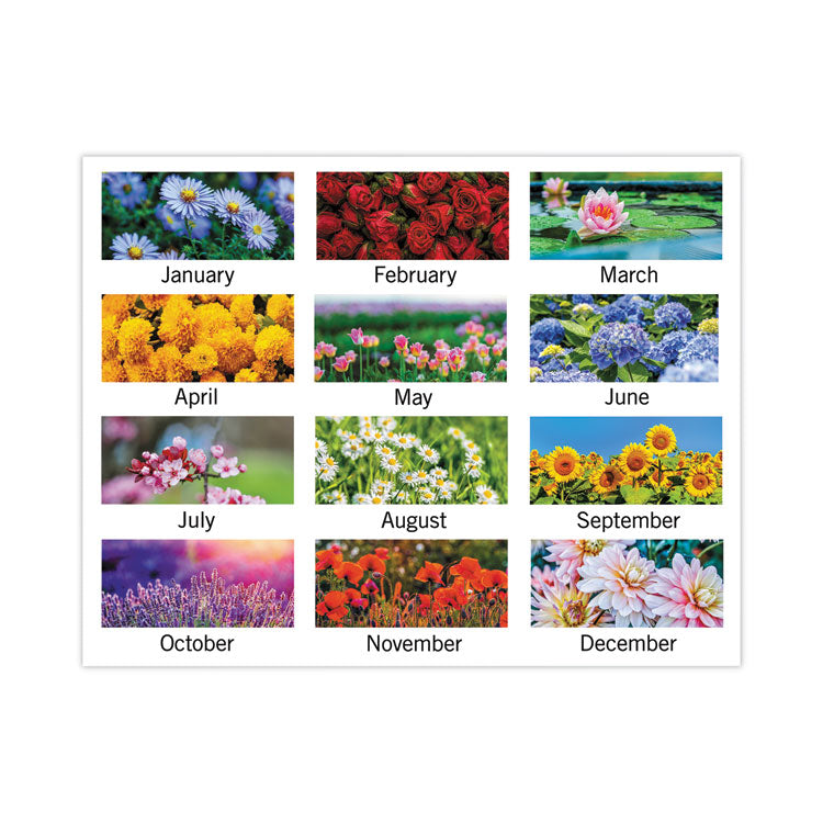 AT-A-GLANCE® Floral Panoramic Desk Pad, Floral Photography, 22 x 17, White/Multicolor Sheets, Clear Corners, 12-Month (Jan-Dec): 2023 (AAG89805)