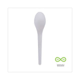 Eco-Products® Plantware Compostable Cutlery, Spoon, 6", Pearl White, 50/Pack, 20 Pack/Carton (ECOEPS013)