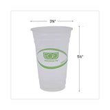 Eco-Products® GreenStripe Renewable and Compostable Cold Cups, 20 oz, Clear, 50/Pack, 20 Packs/Carton (ECOEPCC20GS)