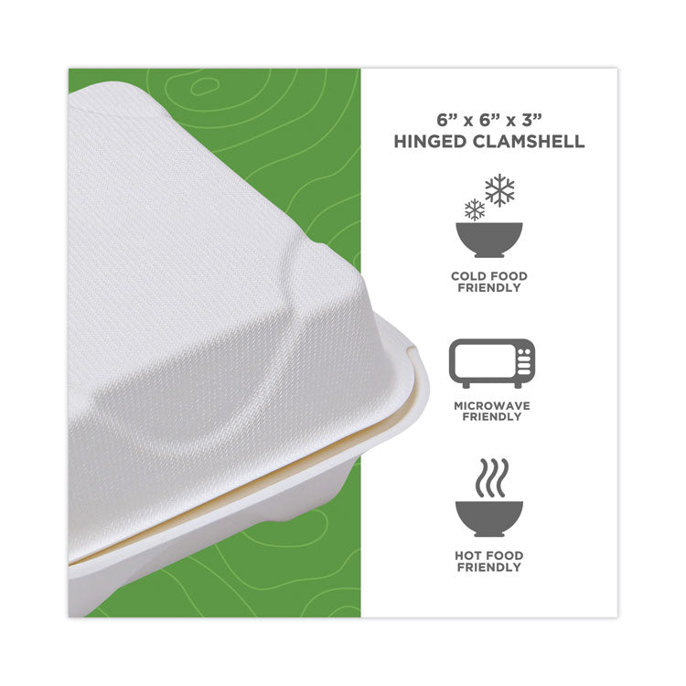 Eco-Products® Bagasse Hinged Clamshell Containers, 6 x 6 x 3, White, Sugarcane, 50/Pack, 10 Packs/Carton (ECOEPHC6) Case of 500