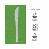 Eco-Products® Plantware Compostable Cutlery, Knife, 6", Pearl White, 50/Pack, 20 Pack/Carton (ECOEPS011)
