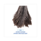 Boardwalk® Professional Ostrich Feather Duster, 4" Handle (BWK12GY)