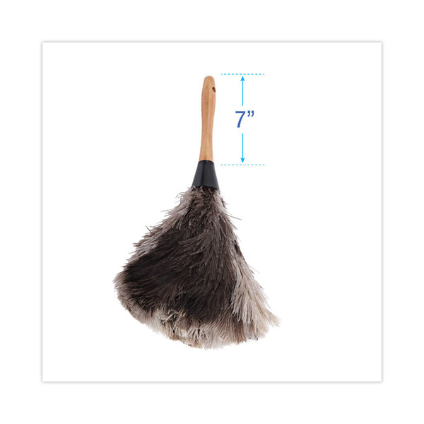 Boardwalk® Professional Ostrich Feather Duster, 7" Handle (BWK13FD)