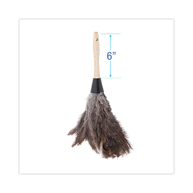 Boardwalk® Professional Ostrich Feather Duster, Gray, 14" Length, 6" Handle (BWK14FD)