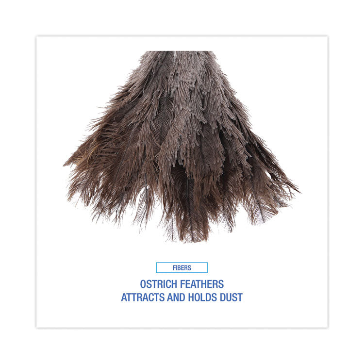 Boardwalk® Professional Ostrich Feather Duster, Gray, 14" Length, 6" Handle (BWK14FD)