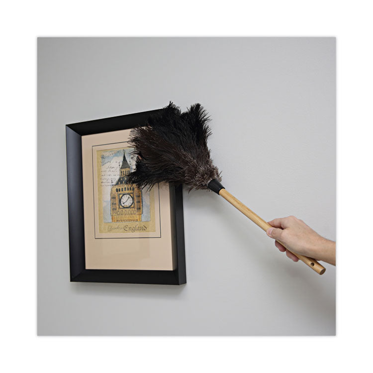 Boardwalk® Professional Ostrich Feather Duster, 10" Handle (BWK20BK) Each