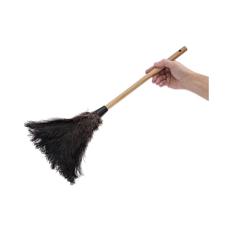 Boardwalk® Professional Ostrich Feather Duster, 10" Handle (BWK20BK) Each