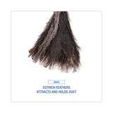 Boardwalk® Professional Ostrich Feather Duster, 13" Handle (BWK23FD)